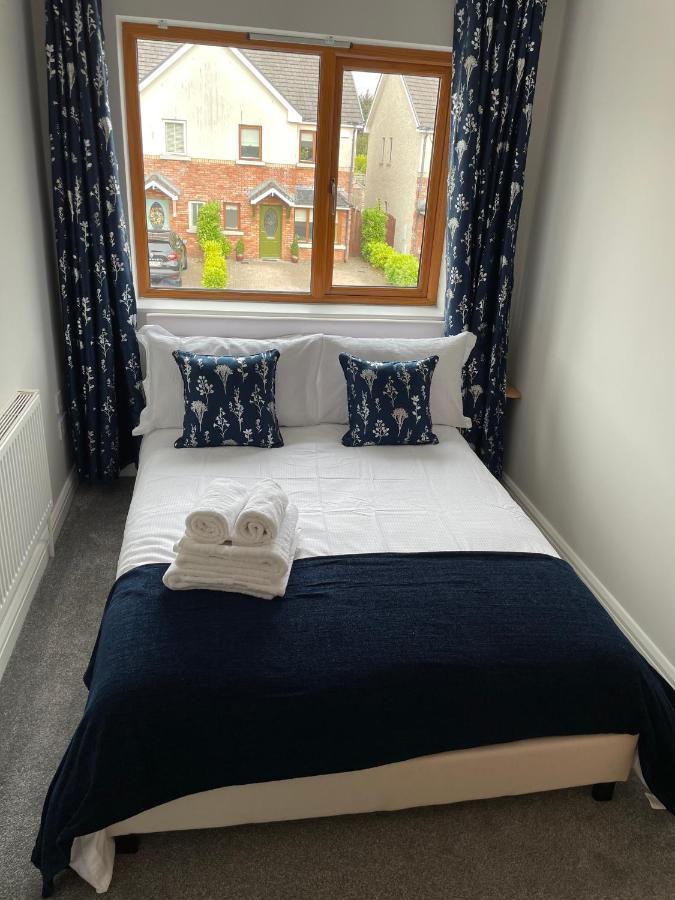 Private Double Room & Bathroom Naas Eksteriør billede