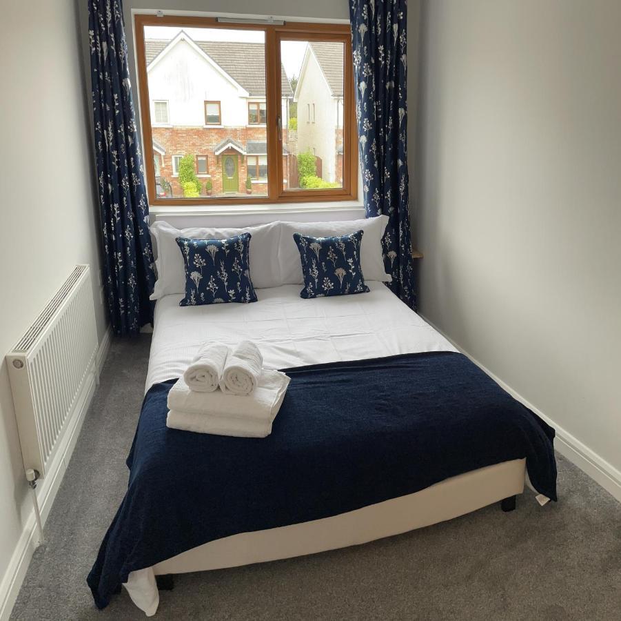 Private Double Room & Bathroom Naas Eksteriør billede